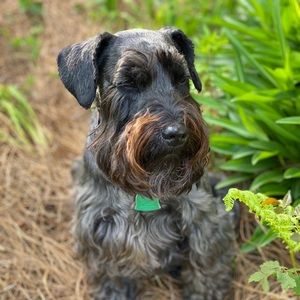 Meet your Posher, Marion